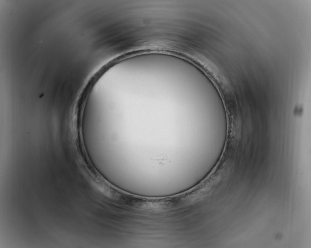 X0000102761078200808251023