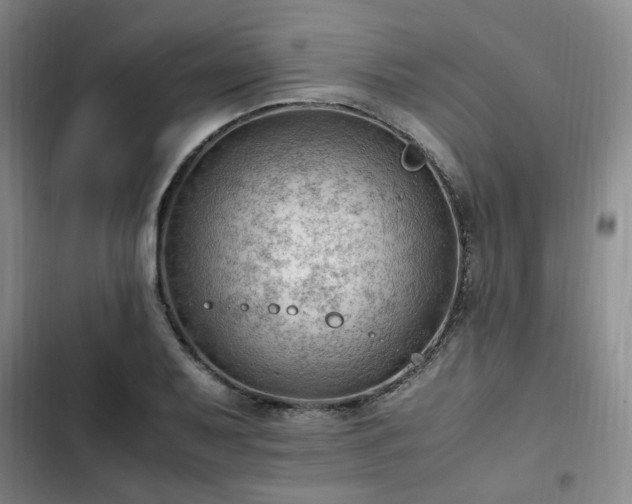 X0000102761079200808251023