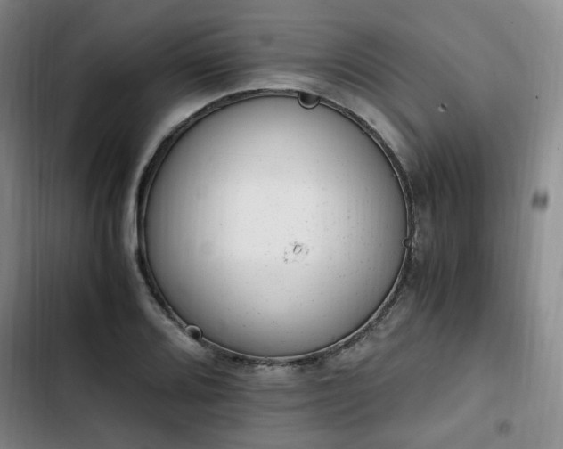 X0000102761080200808251023