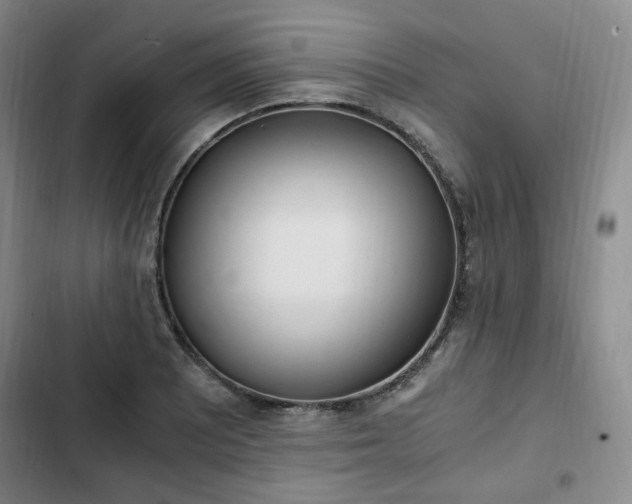 X0000102761081200808251023