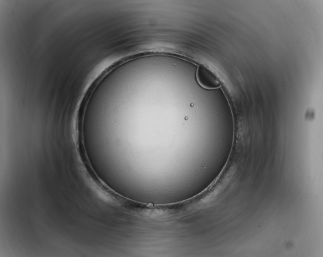 X0000102761082200808251023