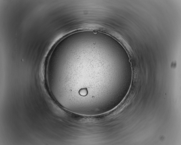 X0000102761083200808251023