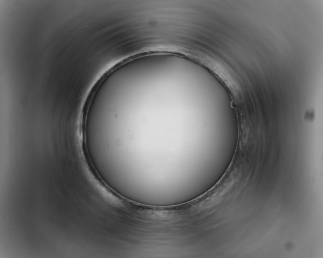 X0000102761084200808251023