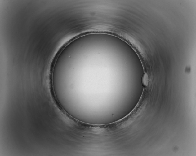 X0000102761085200808251023