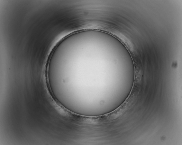 X0000102761086200808251023