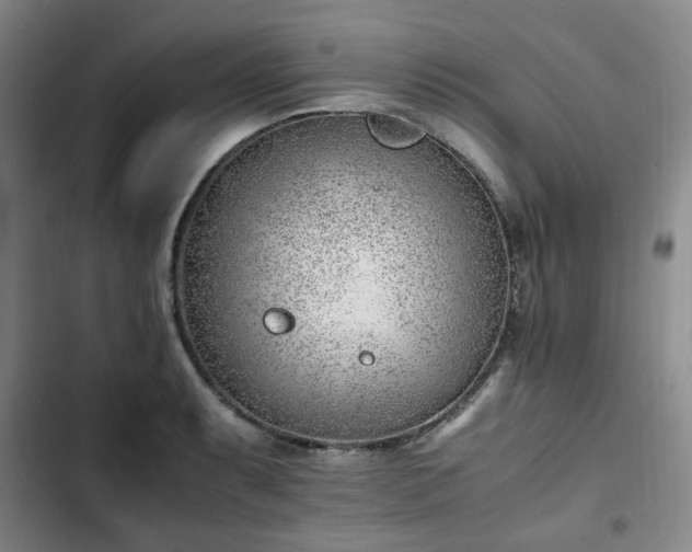 X0000102761087200808251023