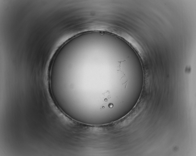 X0000102761088200808251023