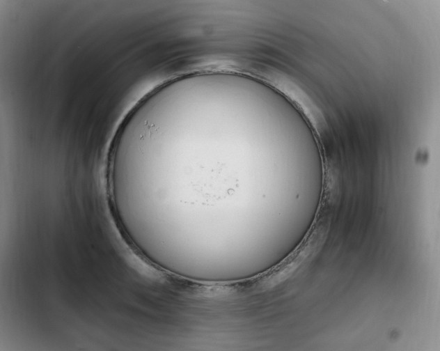 X0000102761090200808251022