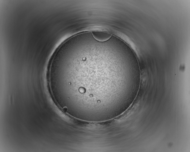 X0000102761091200808251022