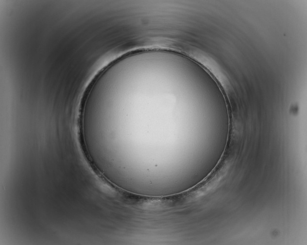 X0000102761093200808251022