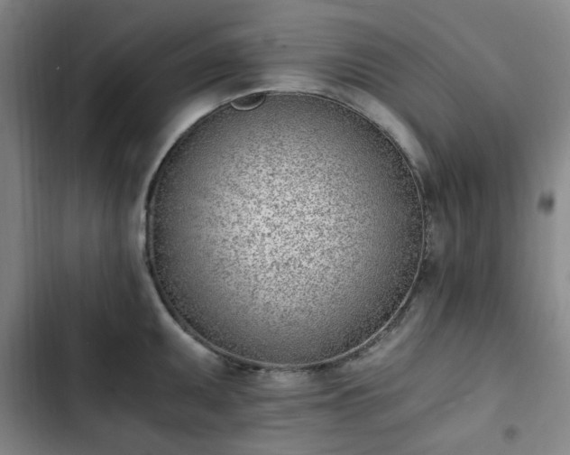 X0000102761095200808251022