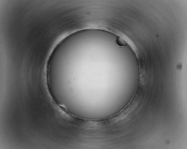 X0000102761096200808251022