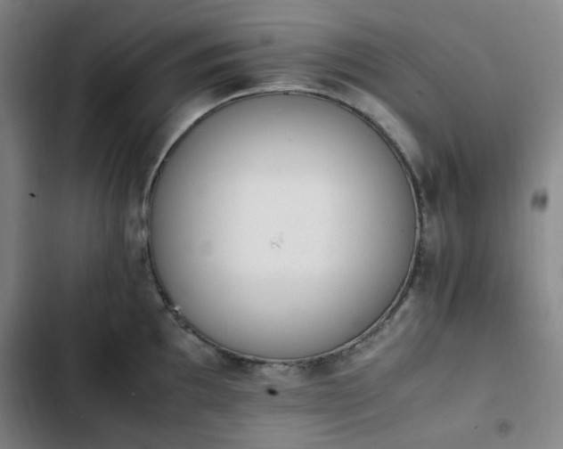 X0000102761097200808251022