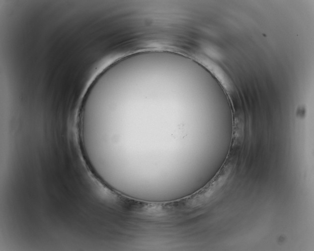 X0000102761098200808251022