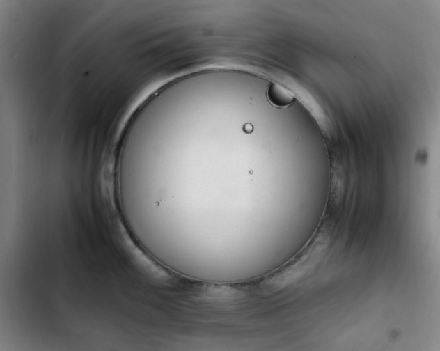 X0000102761100200808251022