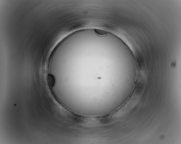 X0000102761101200808251022