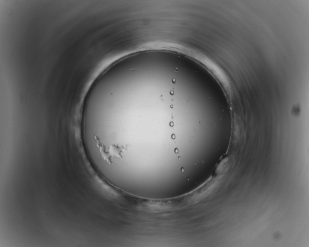 X0000102761102200808251022