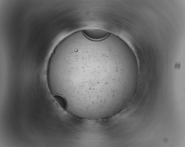 X0000102761104200808251022