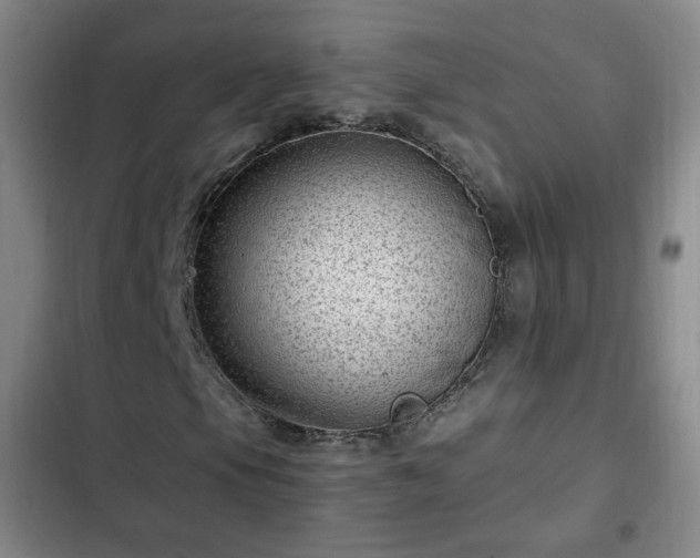 X0000102761105200808251022