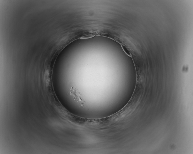 X0000102761106200808251022