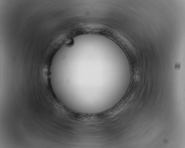 X0000102761108200808251022