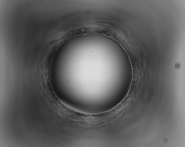 X0000102761109200808251022