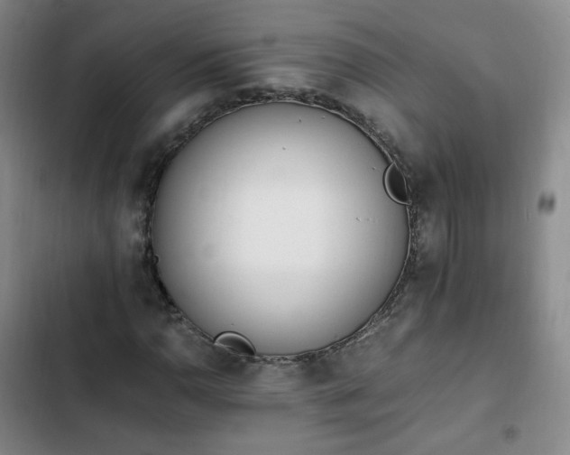 X0000102761110200808251022