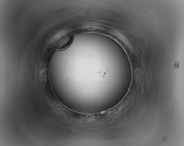 X0000102761111200808251022