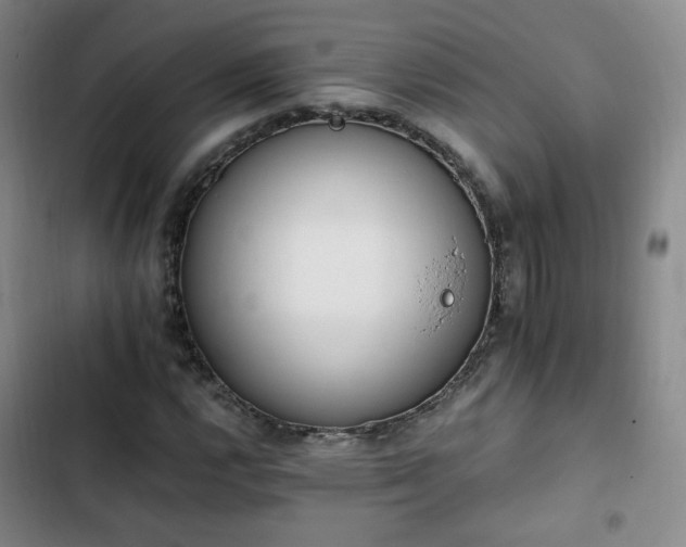 X0000102761112200808251022