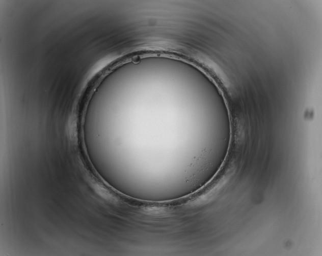 X0000102761114200808251022