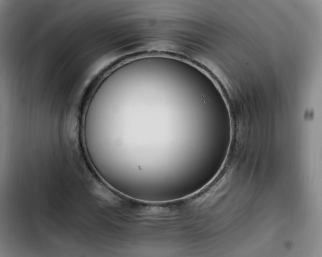 X0000102761115200808251022