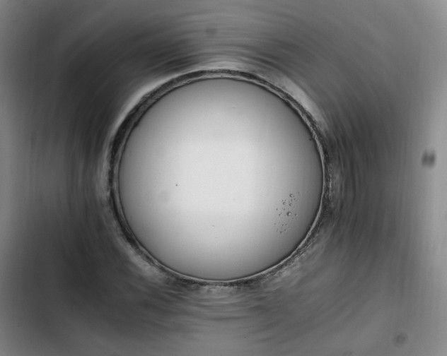 X0000102761116200808251022