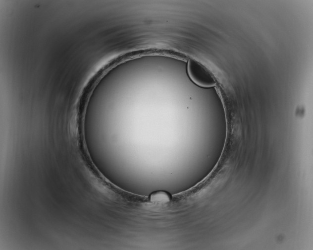 X0000102761118200808251022