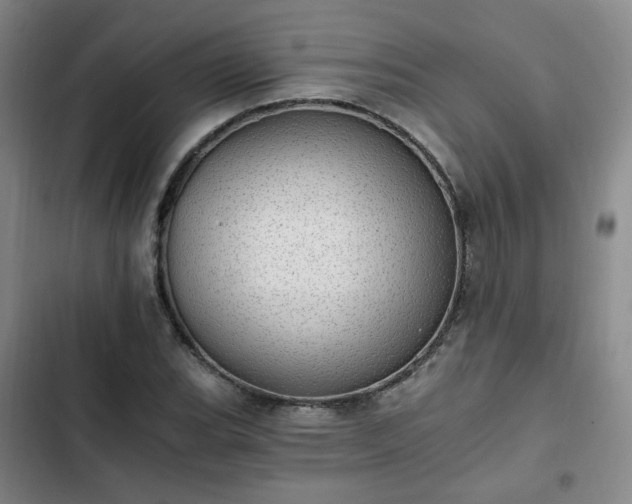 X0000102761119200808251022