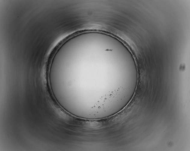 X0000102761120200808251022