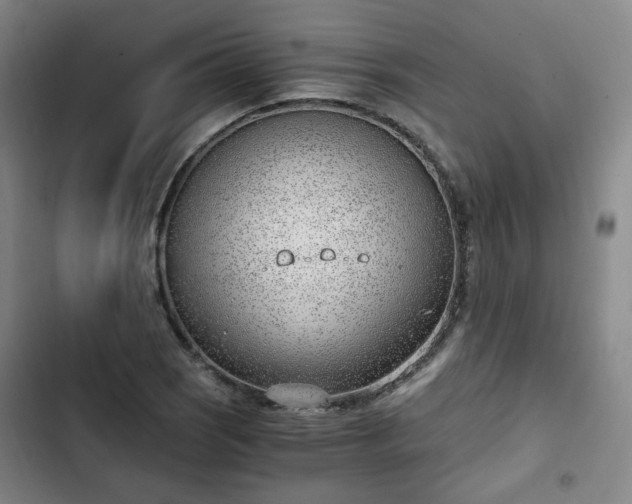 X0000102761121200808251022