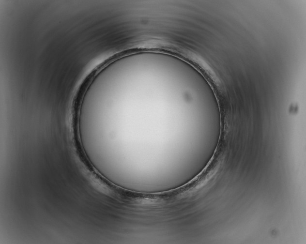 X0000102761122200808251022