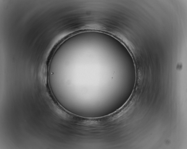 X0000102761123200808251022