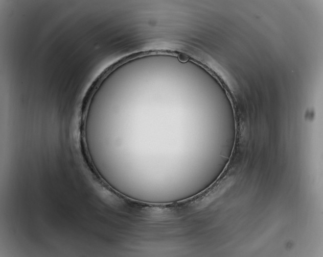 X0000102761124200808251022