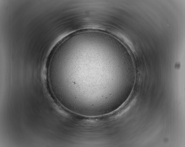 X0000102761125200808251022