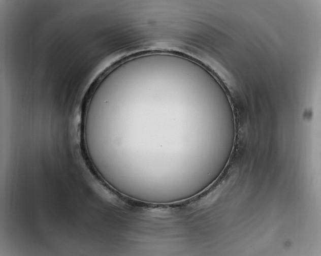 X0000102761126200808251022