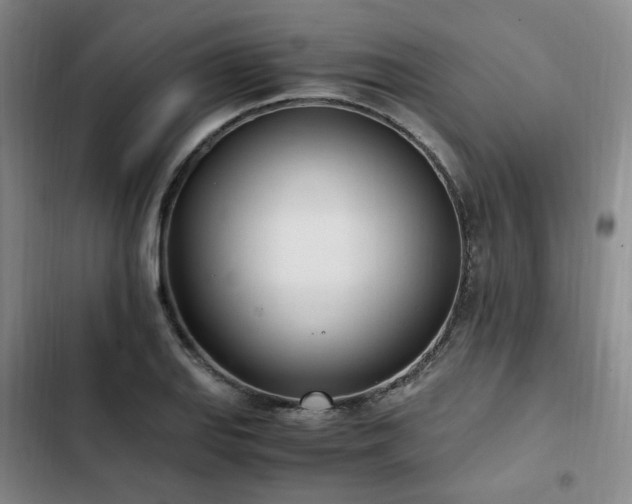 X0000102761127200808251022