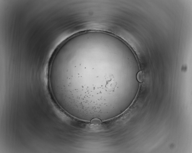 X0000102761128200808251022