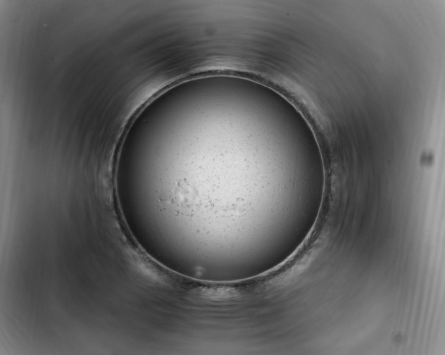 X0000102761129200808251022