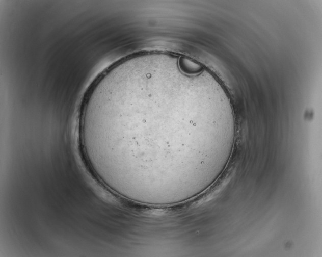 X0000102761130200808251022