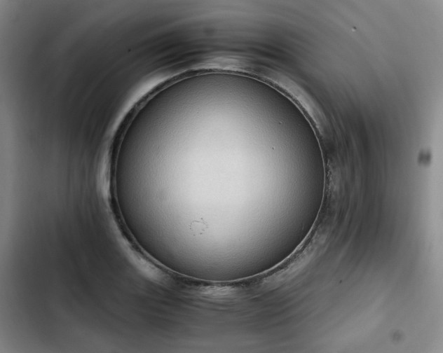 X0000102761131200808251022