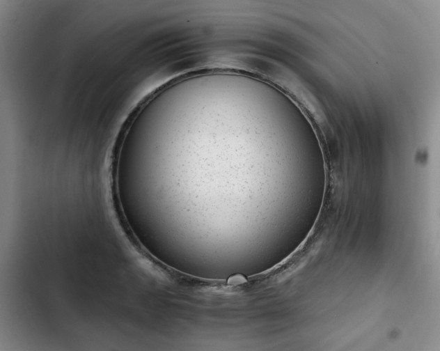 X0000102761133200808251022