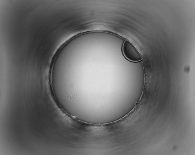 X0000102761134200808251022