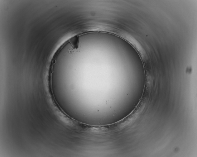 X0000102761138200808251022