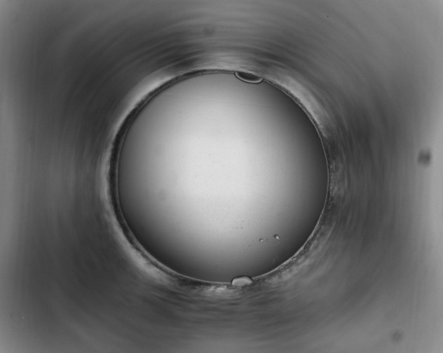 X0000102761139200808251022